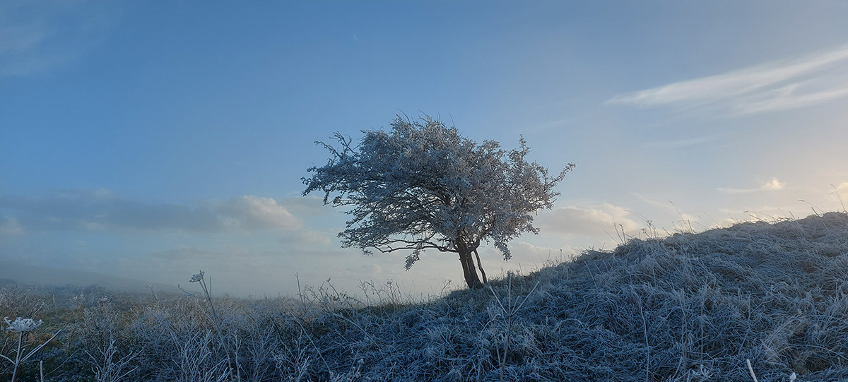 -2°C on the Ridgeway