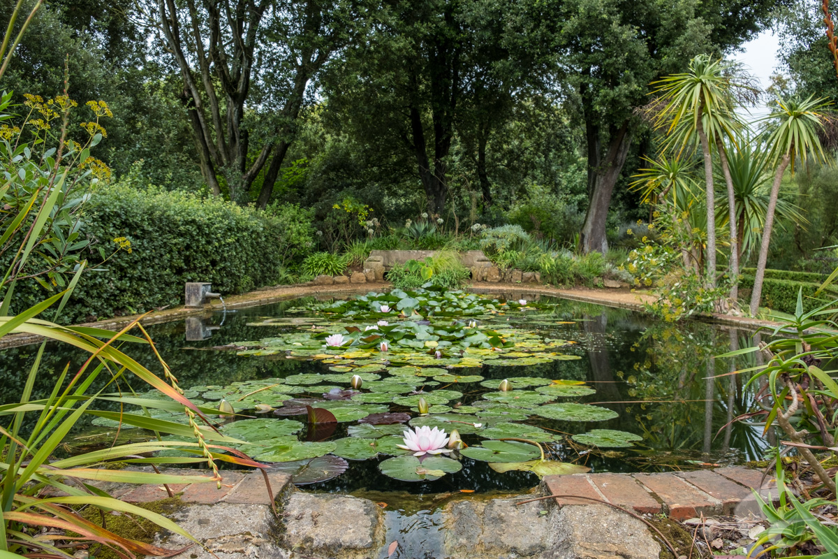 Abbotsbury Subtropical Gardens 15