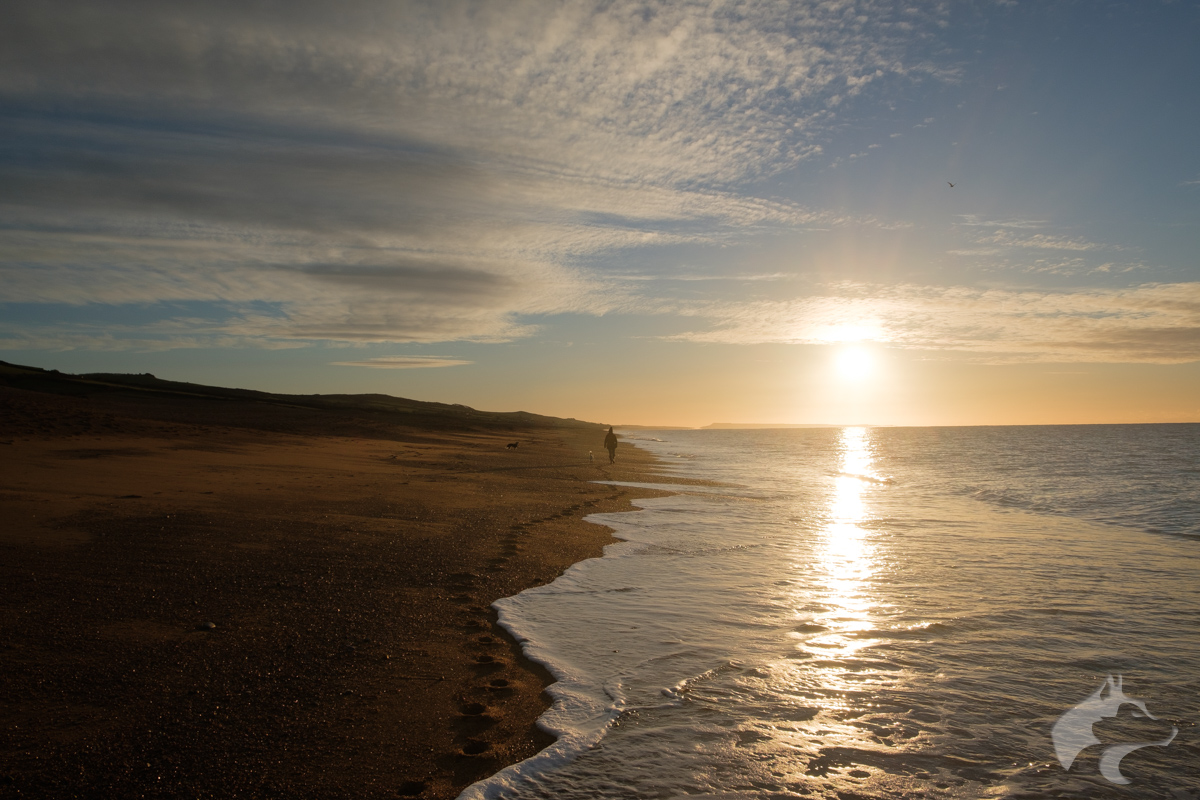 Hive & Cogden Beaches - 02