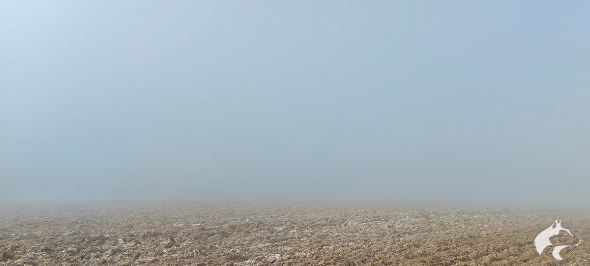 A Misty Maiden Castle